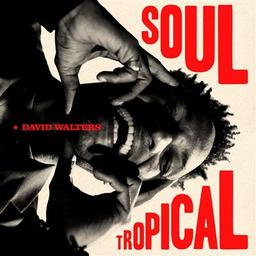 Soul tropical / David Walters, Flavia Coelho, Anthony Joseph, chant | Walters, David. Chanteur