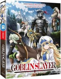 Goblin slayer - L'intégrale / Takaharu Ozaki, réal. | Ozaki, Takaharu. Metteur en scène ou réalisateur